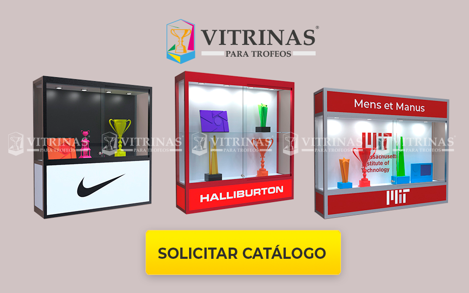 VITRINAS EMPOTRABLES PARA TROFEOS